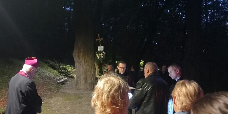 Krzyżu bądźże pozdrowiony, o&nbsp;nadziejo ty&nbsp;jedyna!